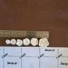 قالب گل رز 6 تایی
