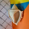 قالب سیلیکونی صدف ۱۲ سانتی